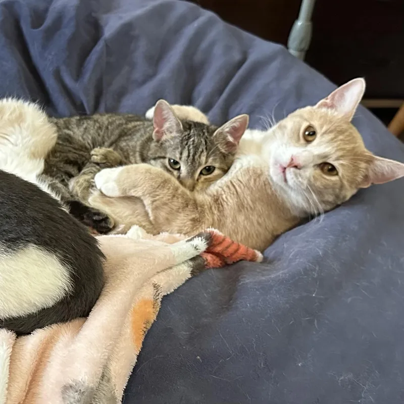 Tipper And Jaebee Indoor thumbnail 4