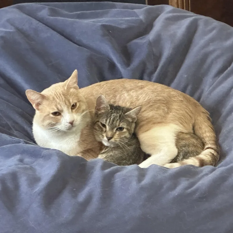 Tipper And Jaebee Indoor thumbnail 5