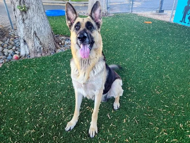 Khloe