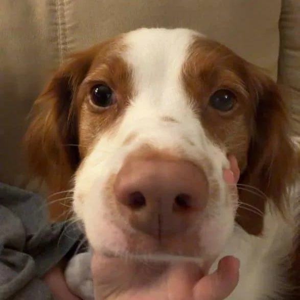 Copper  WI thumbnail 2