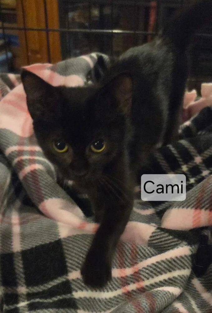 Cami thumbnail 2