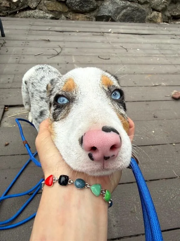 Rusty thumbnail 4