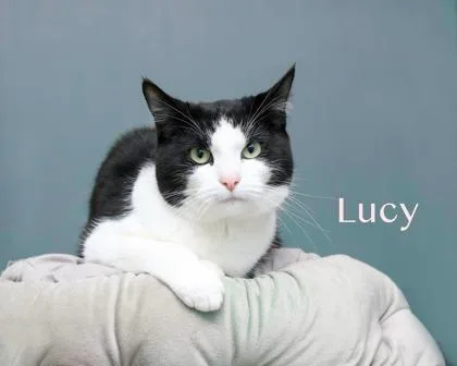 Lucy