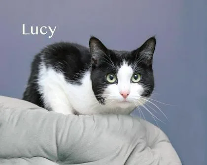 Lucy thumbnail 2
