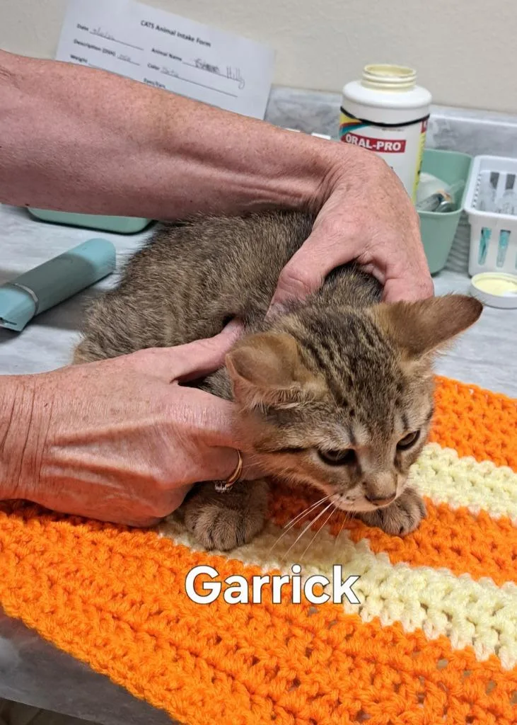 Garrick