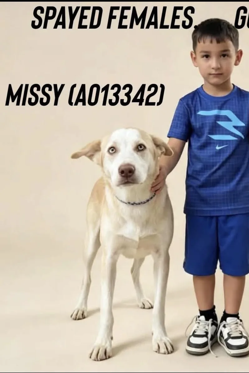 Missy thumbnail 4