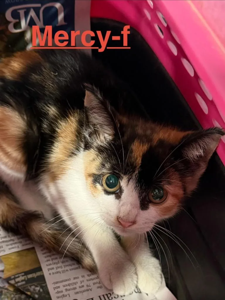 Mercy