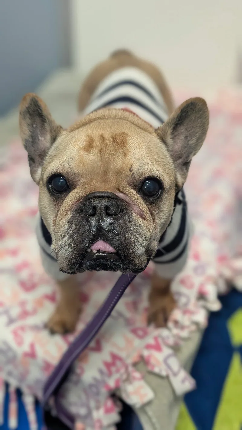 Emma Love thumbnail 2