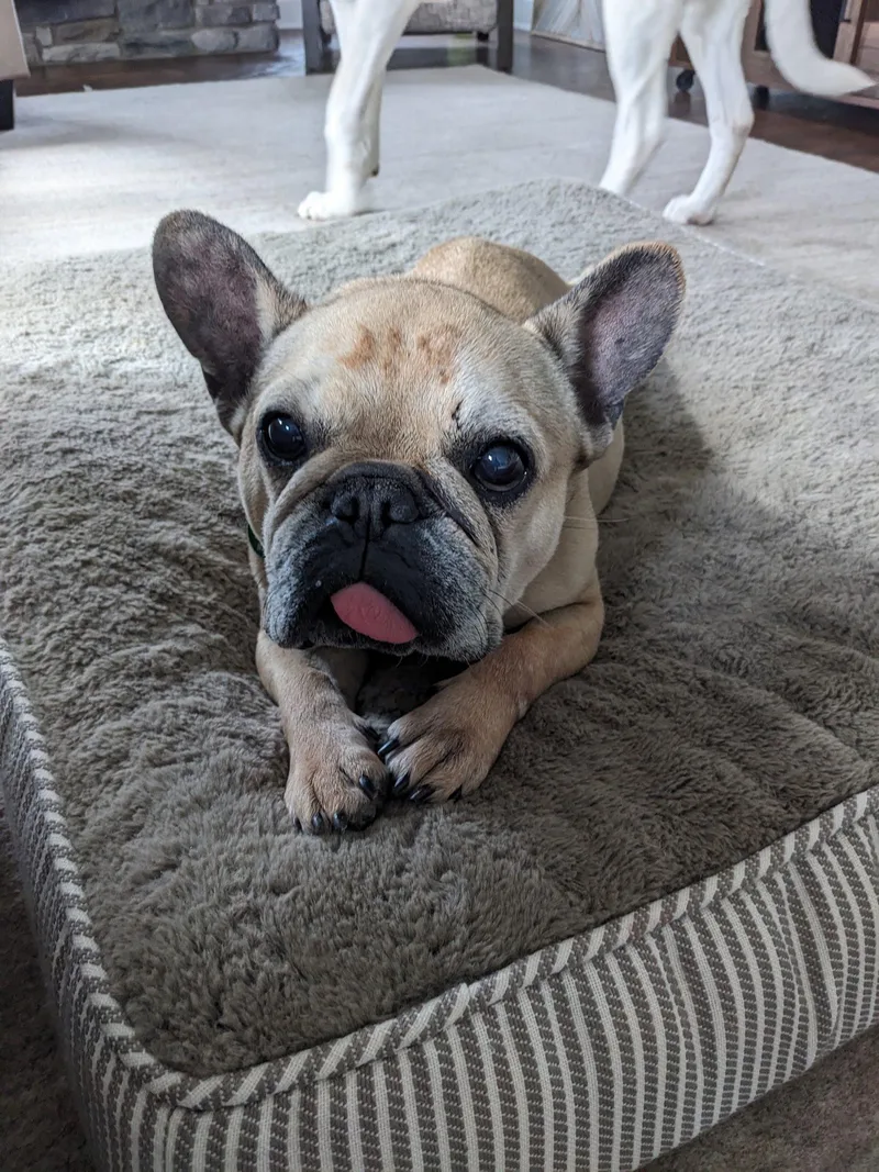 Emma Love thumbnail 3