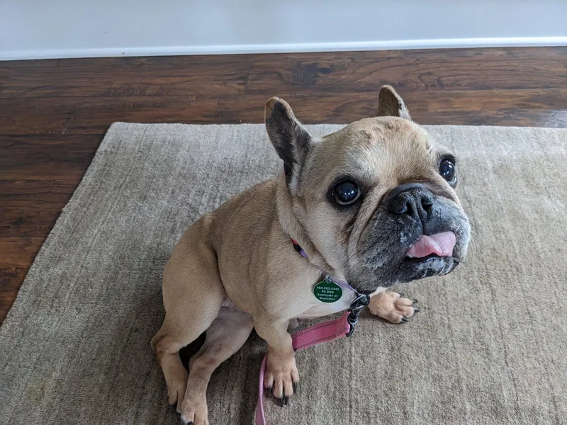 Emma Love thumbnail 4