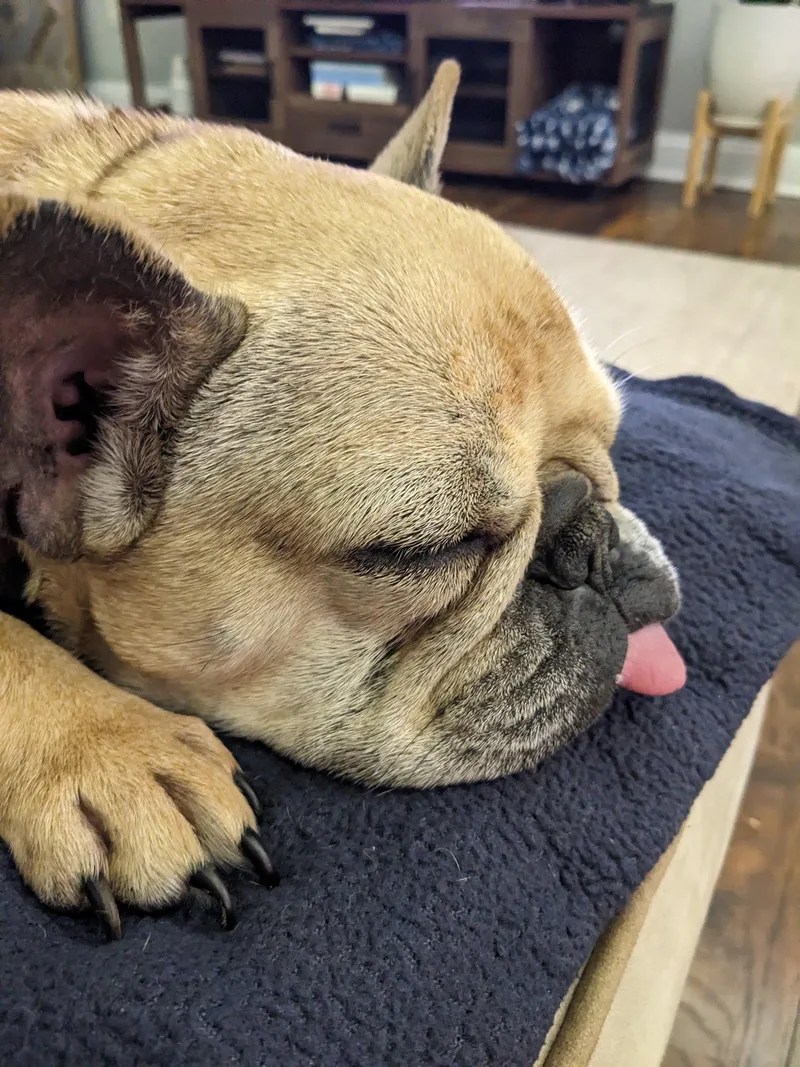 Emma Love thumbnail 5