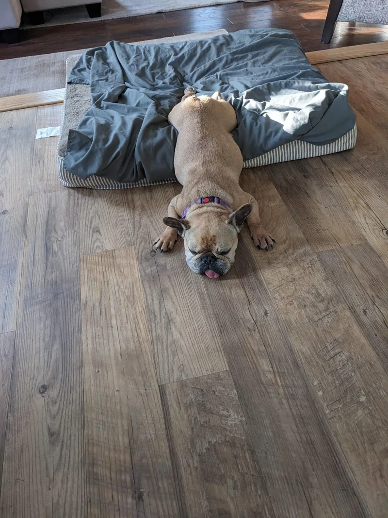 Emma Love thumbnail 6