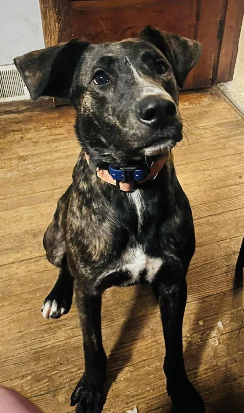 Sam I Am thumbnail 3