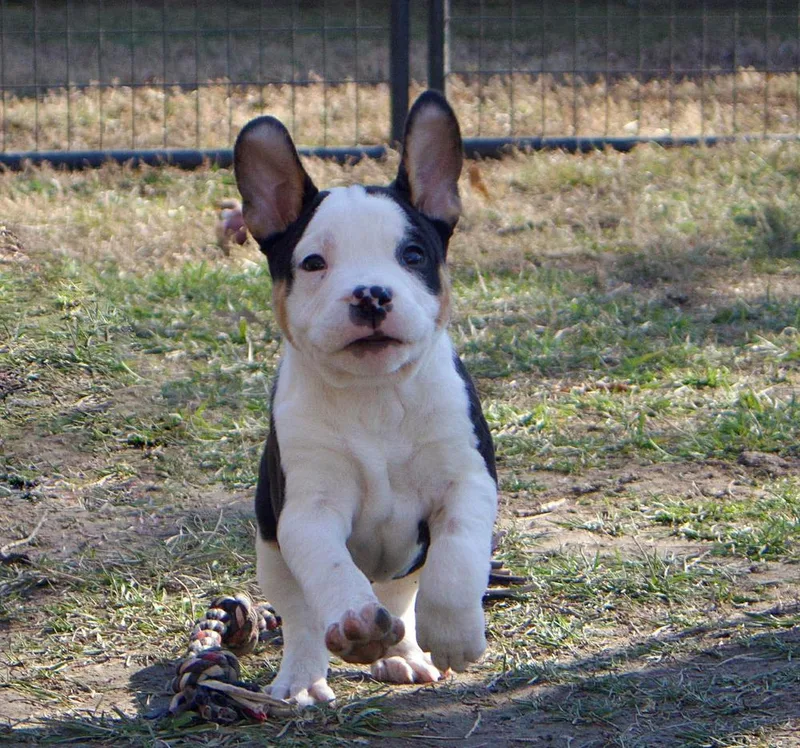 Dustin Henderson thumbnail 6