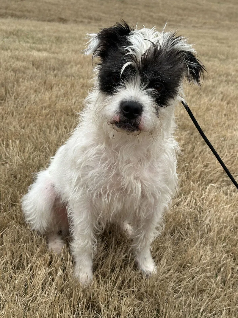 Darla Jean thumbnail 2