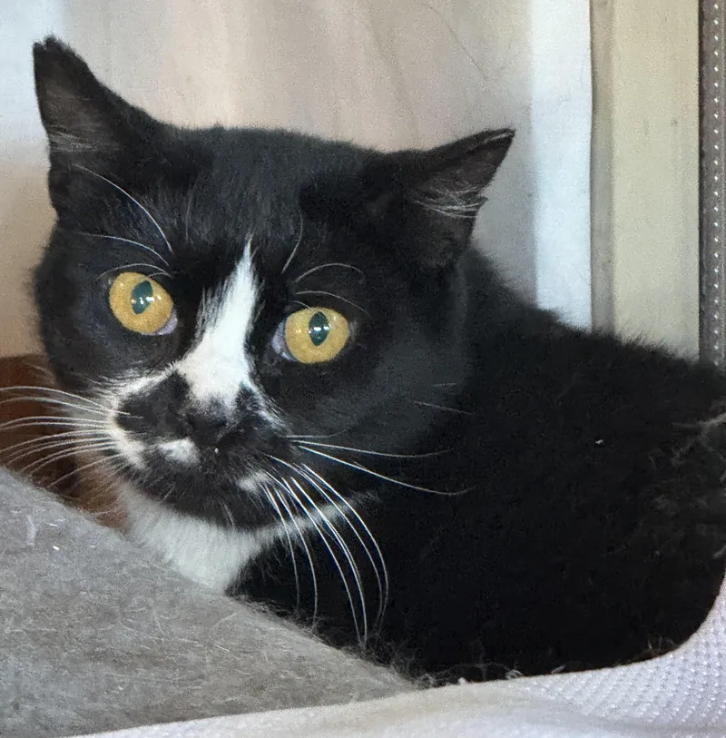 Miss Gemma thumbnail 2