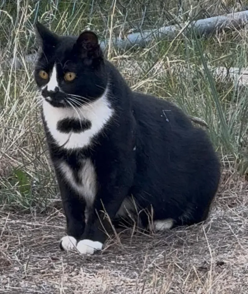 Miss Gemma thumbnail 3