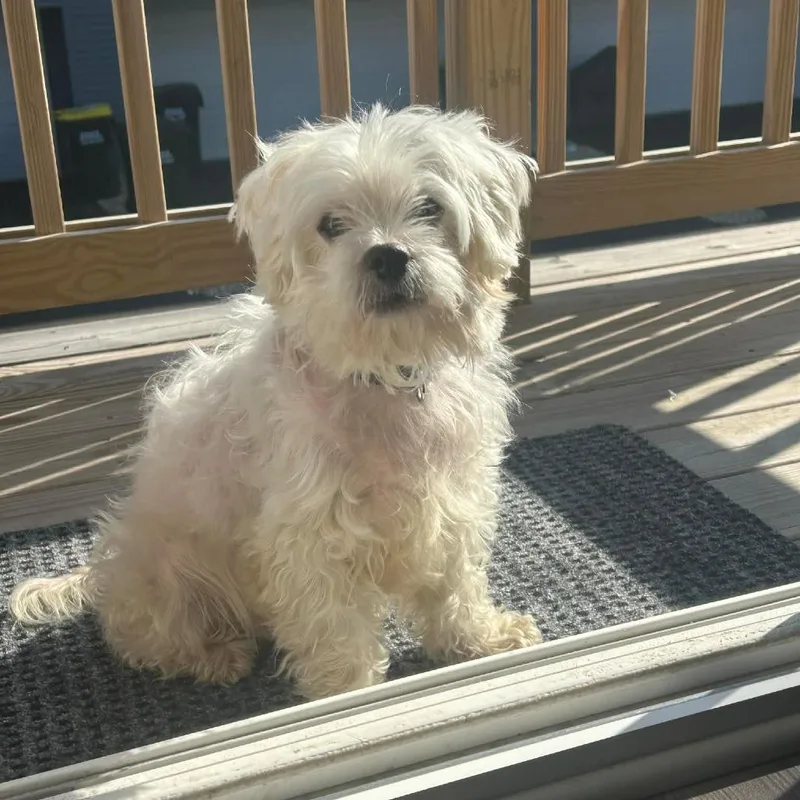 Prince Frito Feet thumbnail 4