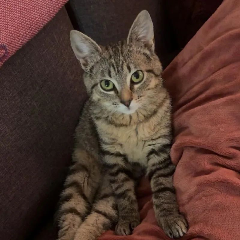 Willamina thumbnail 2