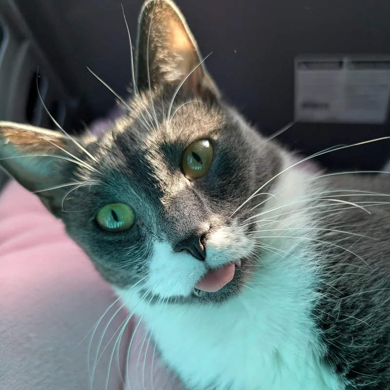 Poopsie Slime Surpise thumbnail 2