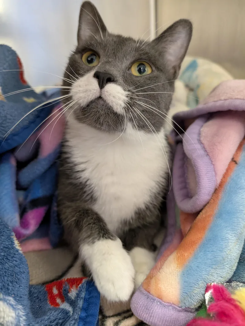 Poopsie Slime Surpise thumbnail 4