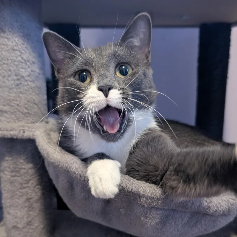 Poopsie Slime Surpise thumbnail 5