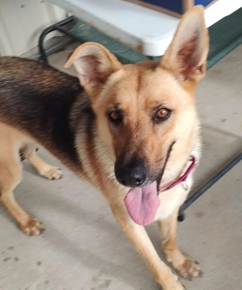 Sandy By The Sea thumbnail 2