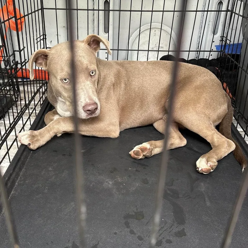 Hocus Pocus thumbnail 2