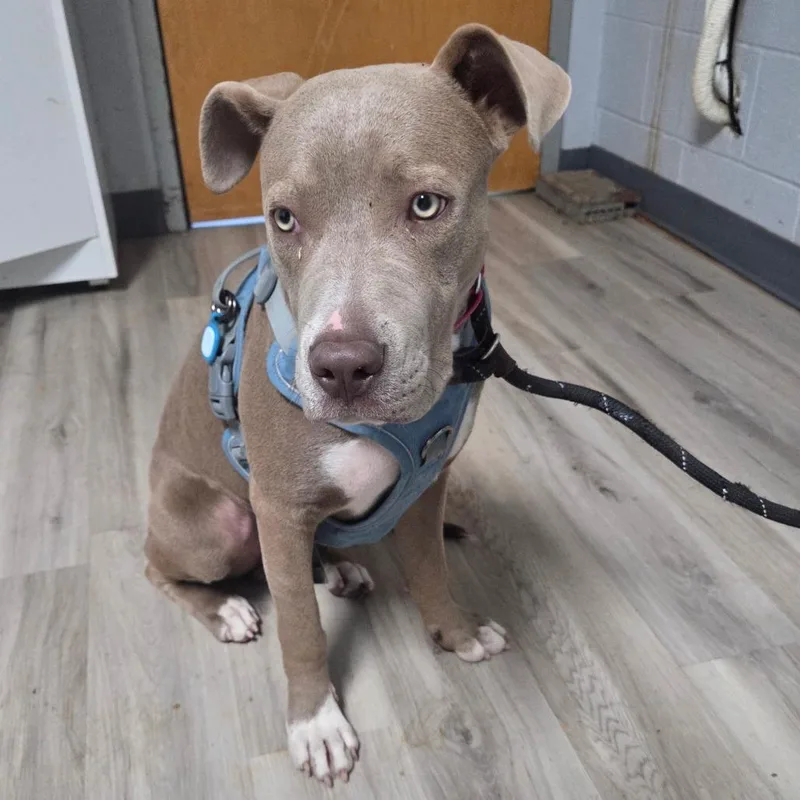 Hocus Pocus thumbnail 3