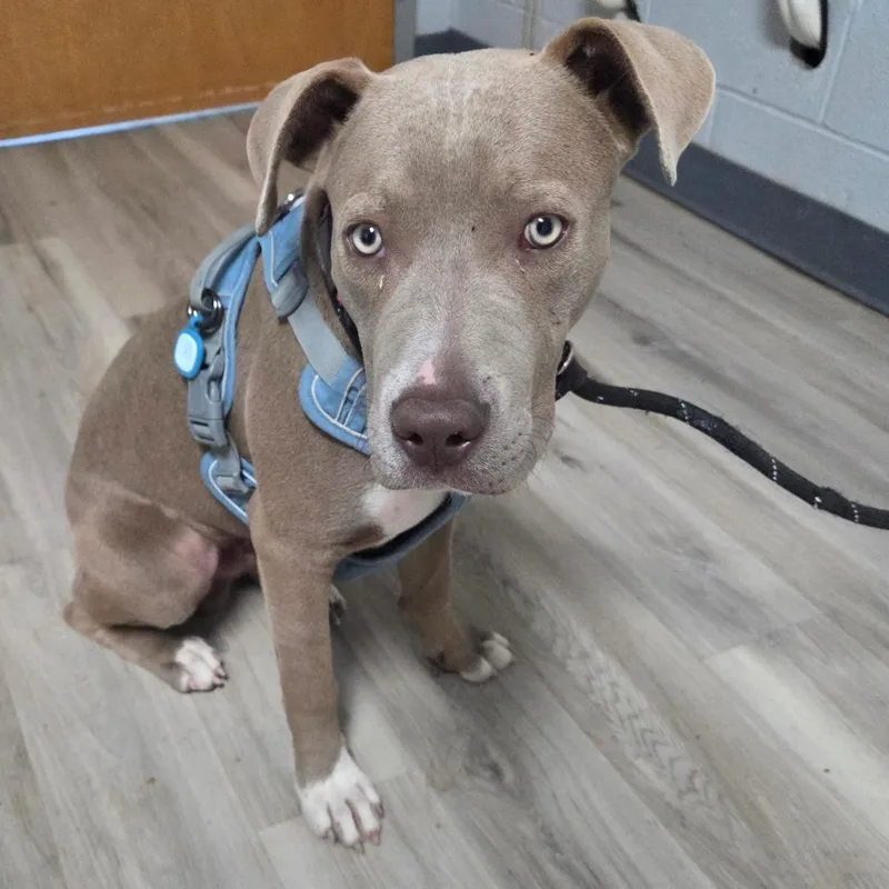 Hocus Pocus thumbnail 4