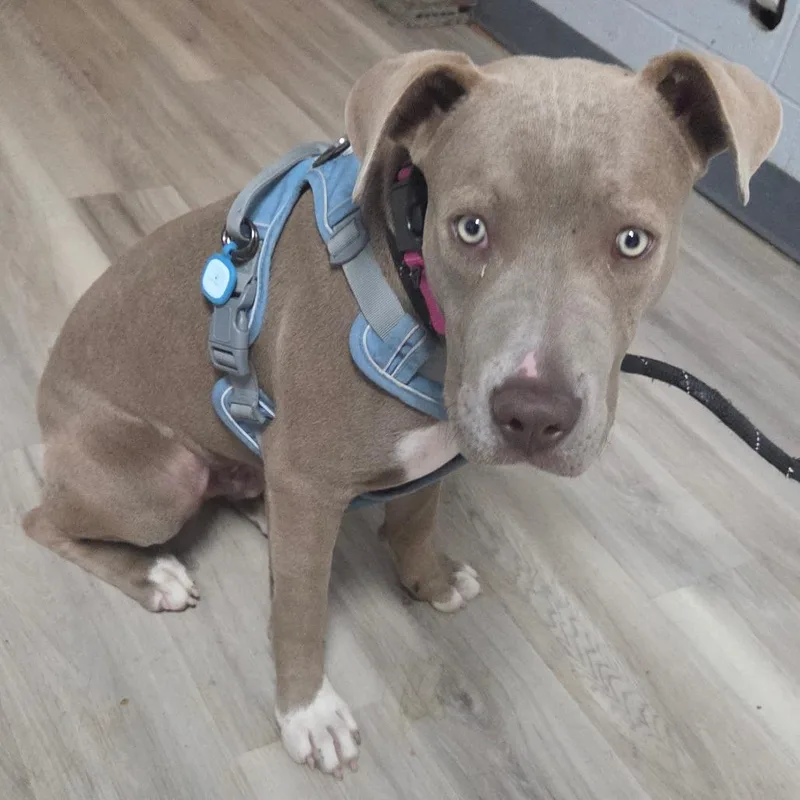 Hocus Pocus thumbnail 5