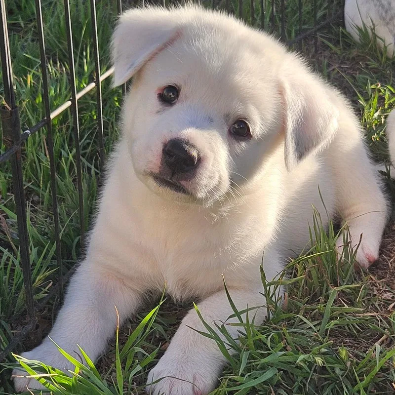 Madeleine thumbnail 2