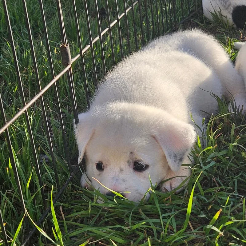 Madeleine thumbnail 3