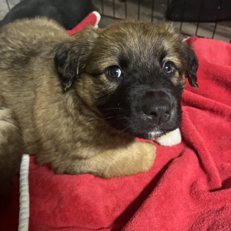 Ct Harry Potter thumbnail 2