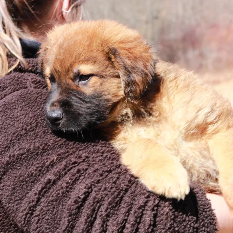 Ct Harry Potter thumbnail 3