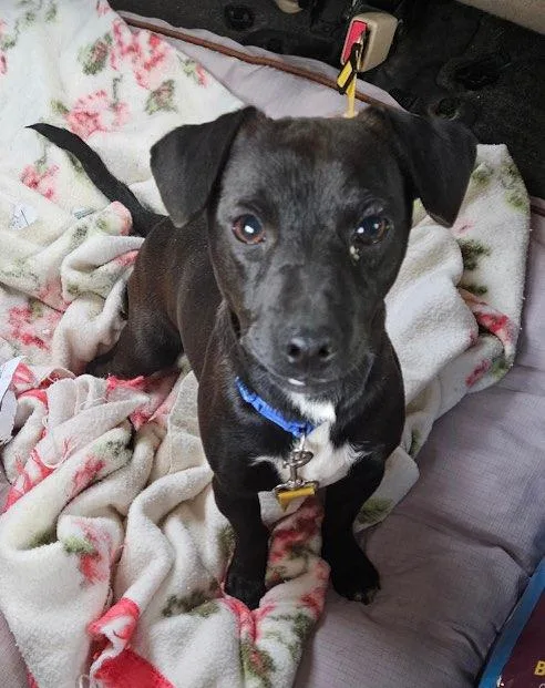 Bonnie And Clyde thumbnail 3