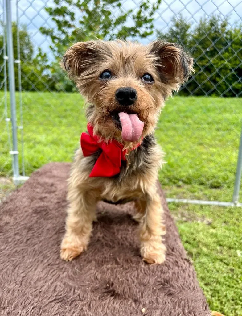 Mia