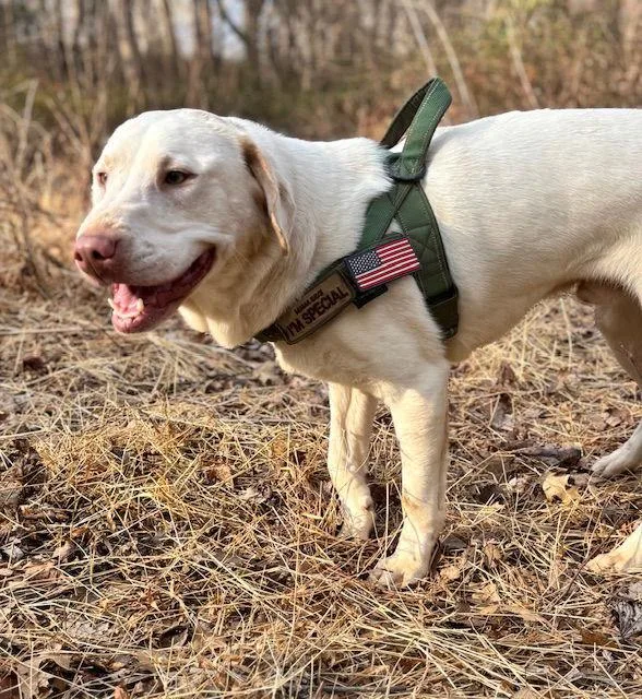 Clarance thumbnail 2