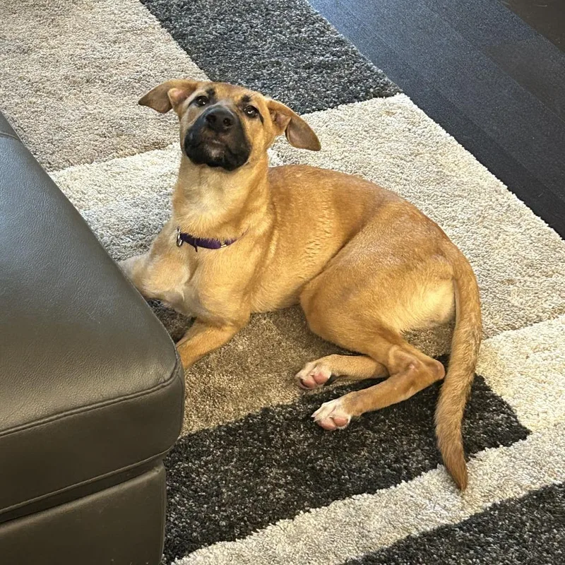 Rosalina thumbnail 3