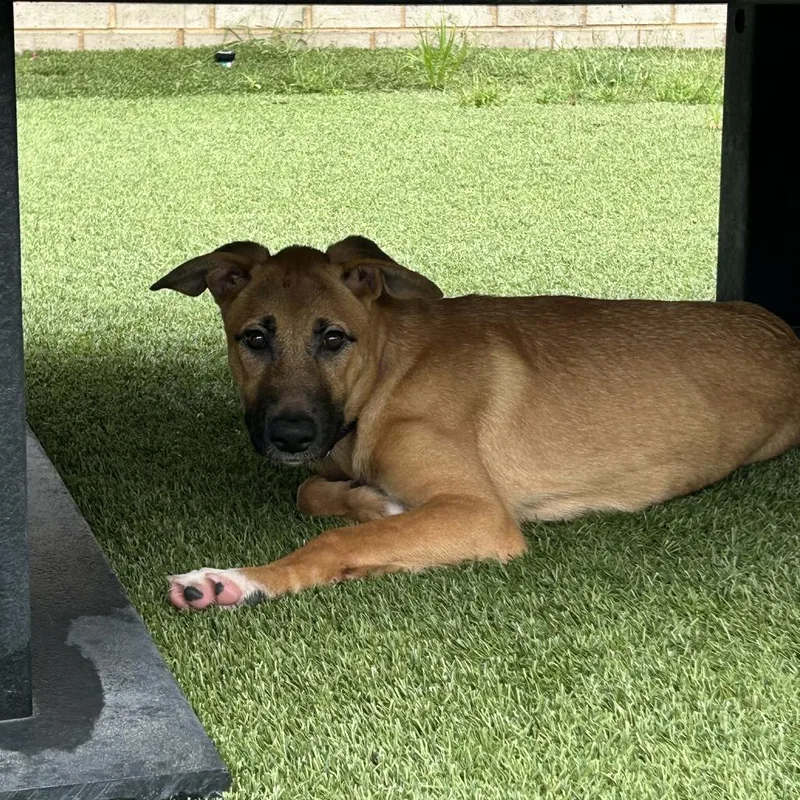 Rosalina thumbnail 4