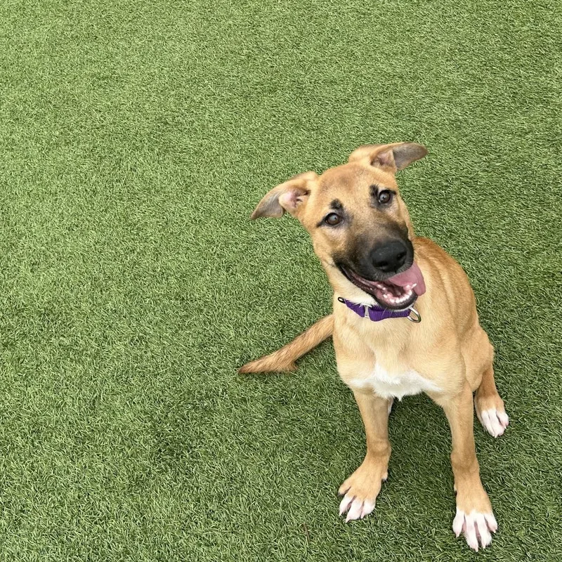 Rosalina thumbnail 5