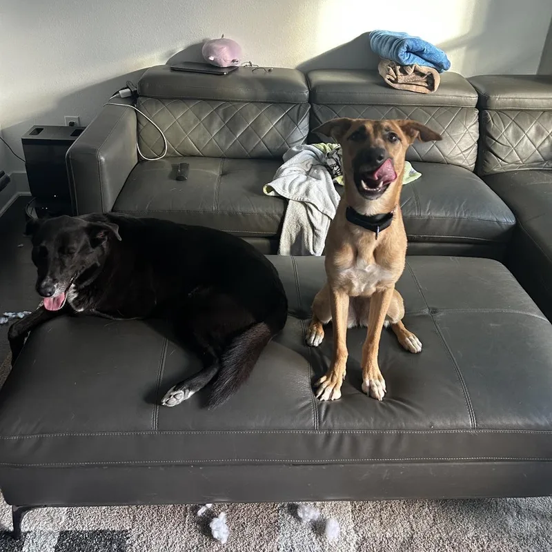 Rosalina thumbnail 6