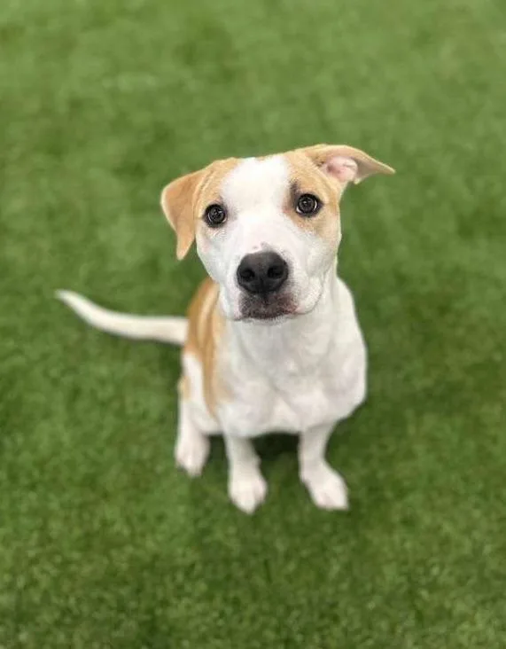 Miss Lady thumbnail 6