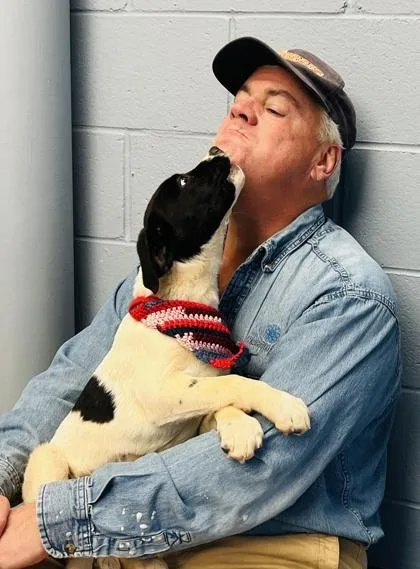 A baby large-sized female Great Pyrenees dog named Bonnie $ for adoption in Seneca, SC