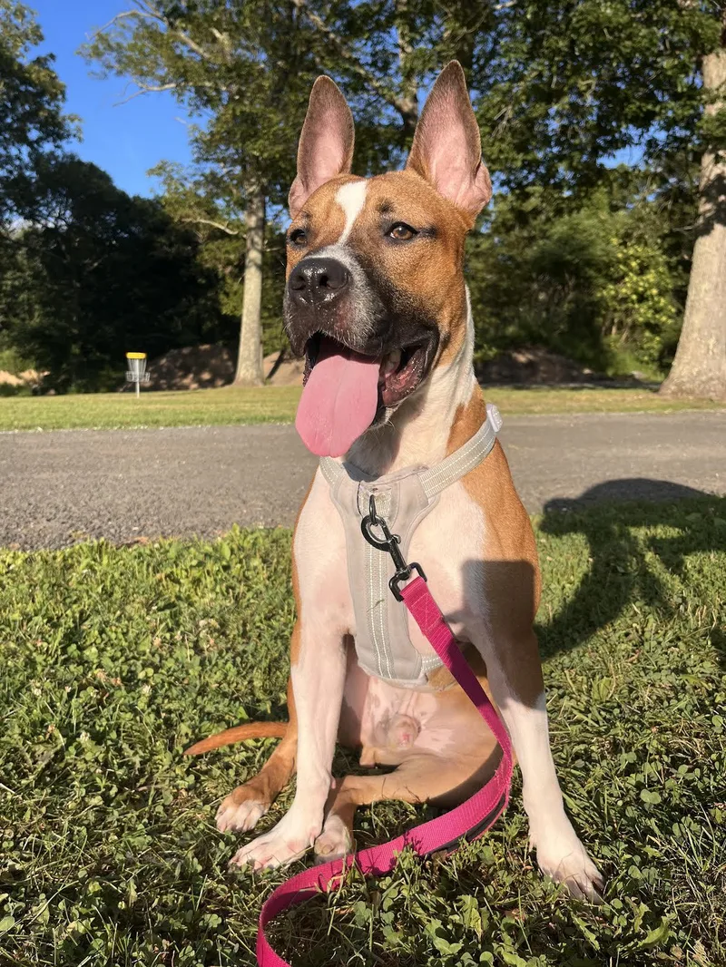 Leonardo thumbnail 4