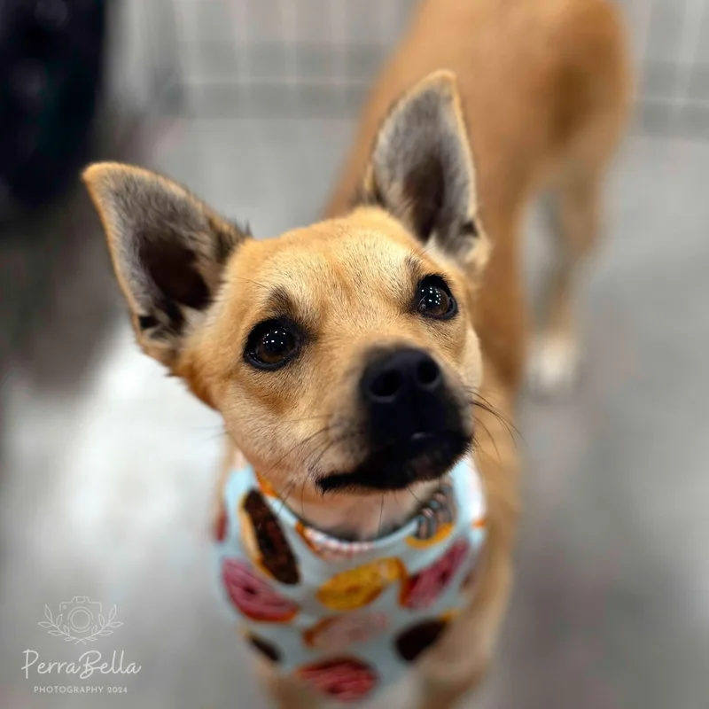 Louboutin thumbnail 2