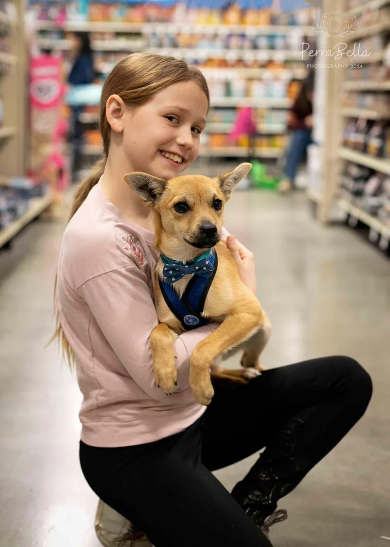 Louboutin thumbnail 4