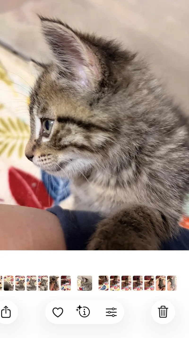 Hattie thumbnail 3