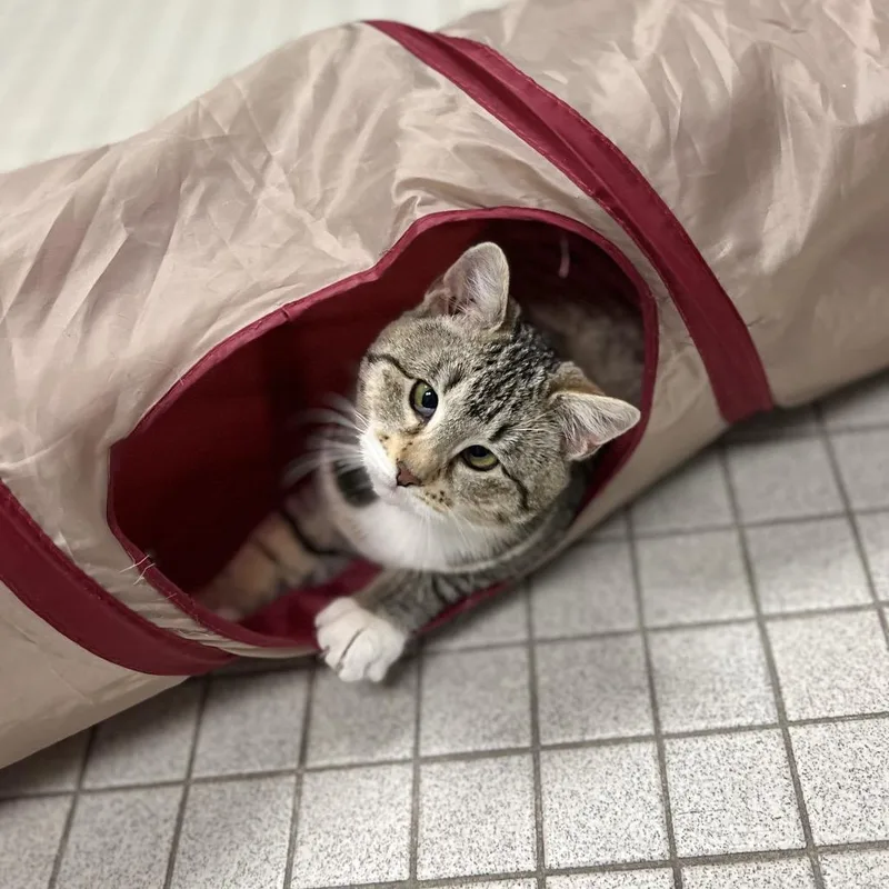 Jackey Luna thumbnail 2