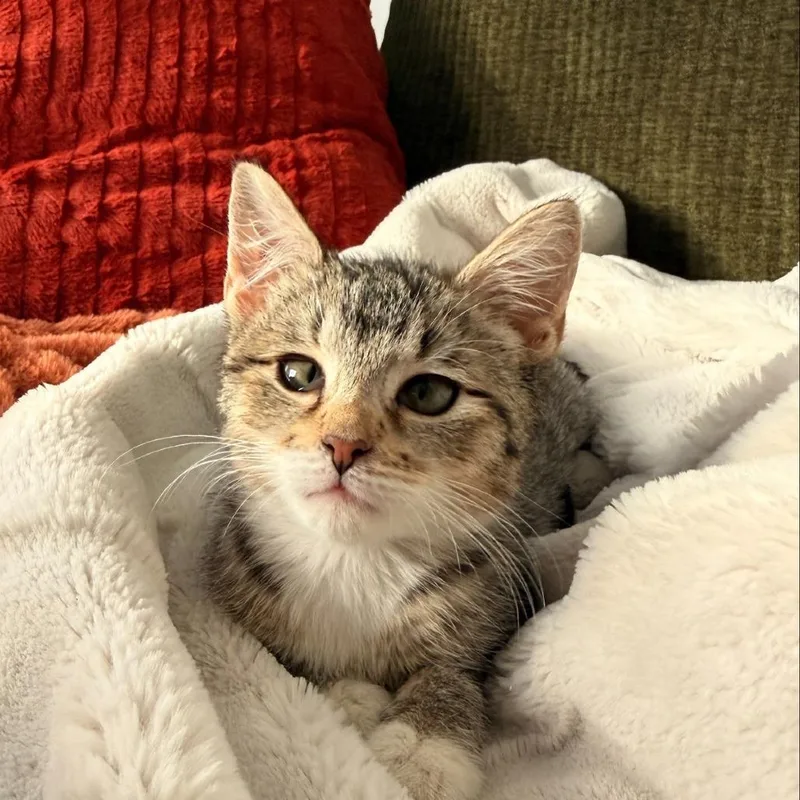 Jackey Luna thumbnail 4